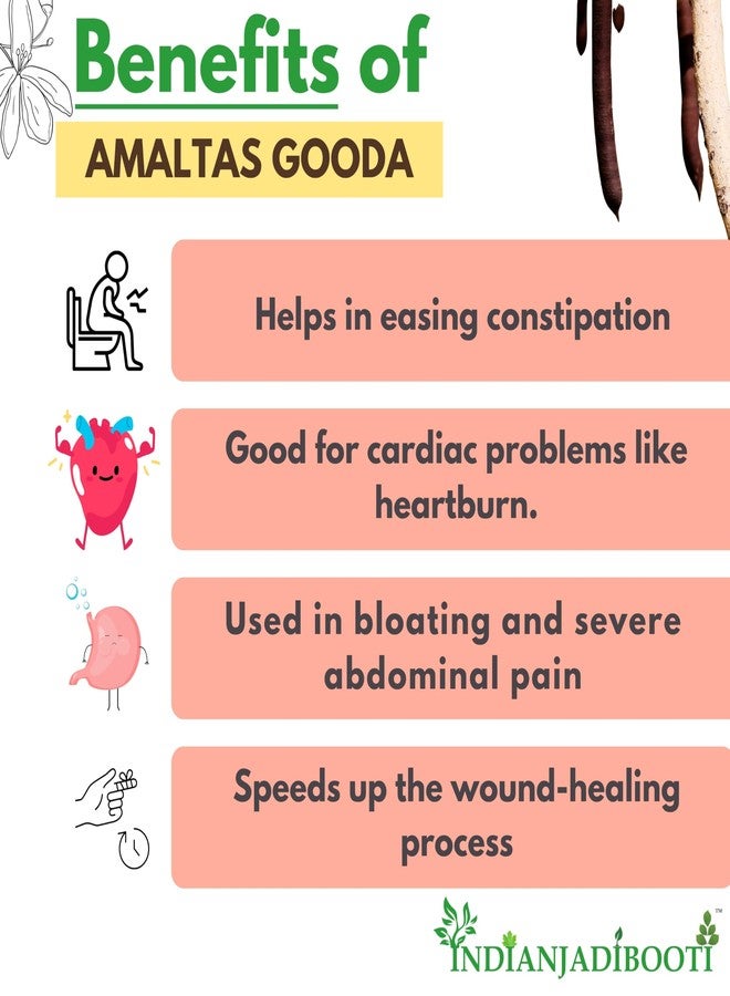 IndianJadiBooti Amaltas Pulp (250g) | Cassia Fistula/Amaltash Gudda | Aragvadha | Natural Gentle Laxative for Kids & Adults | Constipation Relief | Pure & Seedless - Image 3